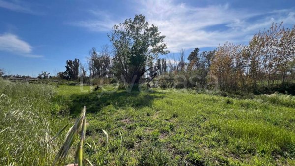 terreno agricolo in vendita a Latina in zona Borgo Sabotino