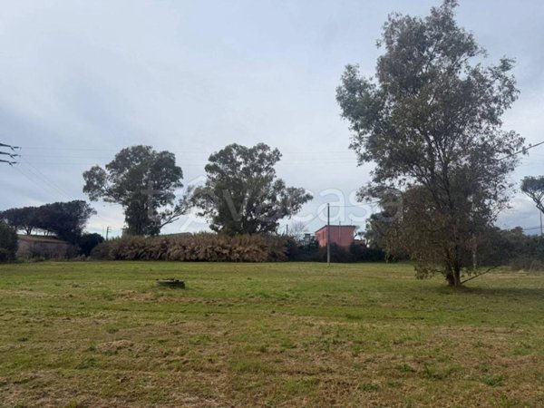 terreno agricolo in vendita a Latina in zona Borgo Sabotino