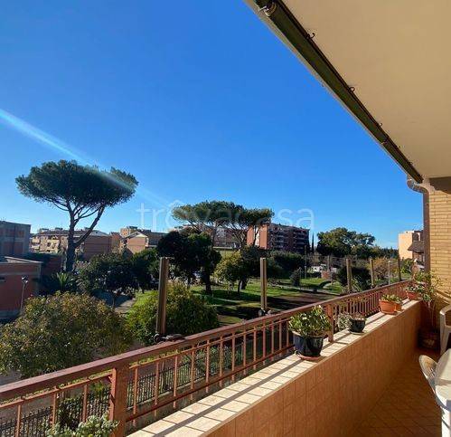 appartamento in vendita a Latina