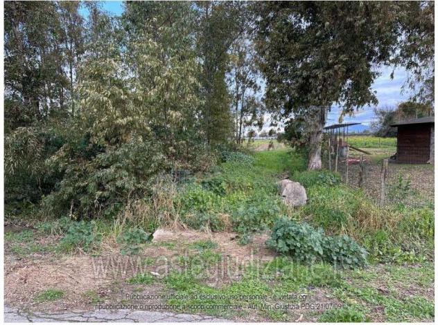 terreno agricolo in vendita a Latina in zona Borgo Sabotino