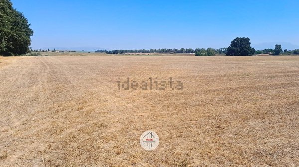 terreno agricolo in vendita a Latina in zona Borgo Santa Maria