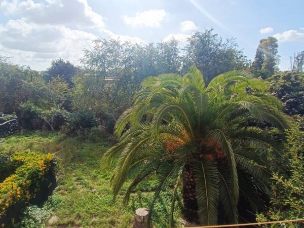 appartamento in vendita a Latina in zona Borgo Piave