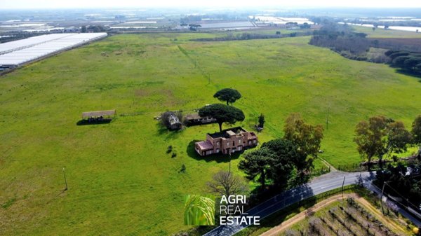 terreno agricolo in vendita a Latina in zona Le Ferriere