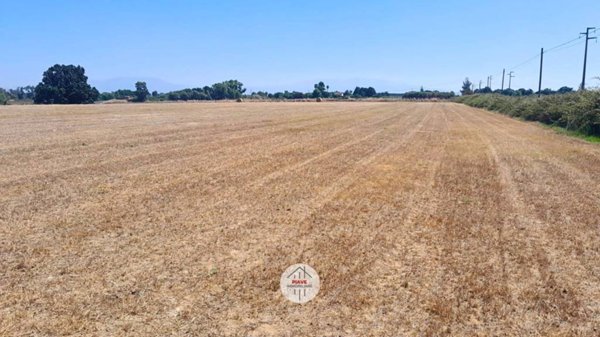 terreno agricolo in vendita a Latina in zona Borgo Bainsizza