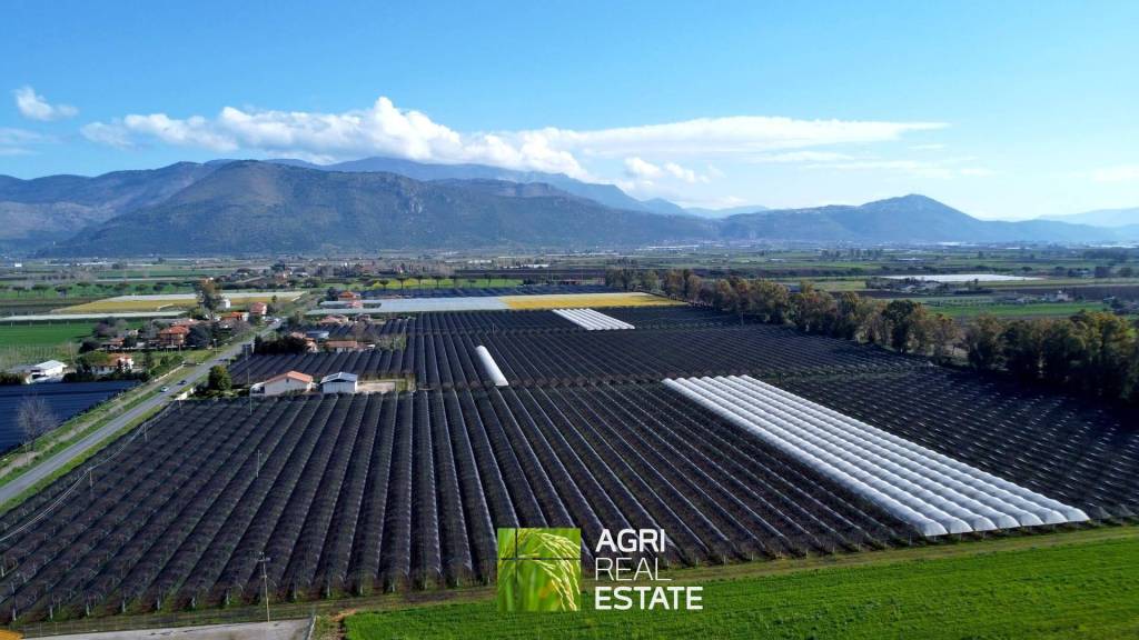 terreno agricolo in vendita a Latina in zona Latina Scalo