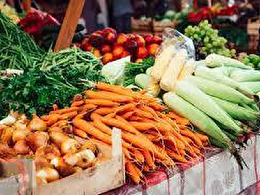 negozio in vendita a Latina