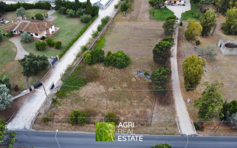 terreno agricolo in vendita a Latina in zona Borgo Grappa
