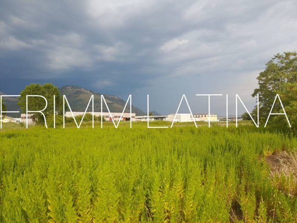 terreno agricolo in vendita a Latina in zona Latina Scalo