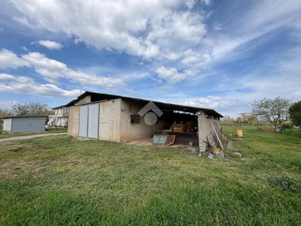 terreno agricolo in vendita a Latina in zona Borgo Santa Maria