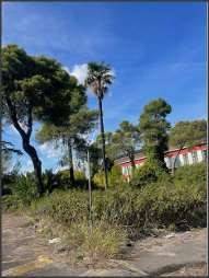 capannone in vendita a Latina in zona Latina Scalo
