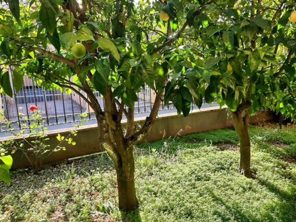 casa indipendente in vendita a Latina