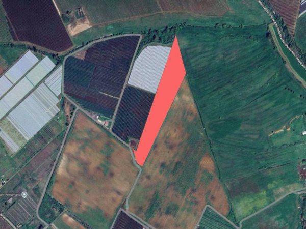 terreno agricolo in vendita a Latina in zona Acciarella