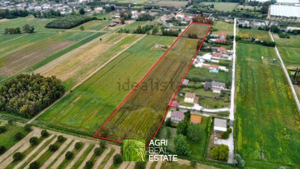 terreno agricolo in vendita a Latina in zona Borgo Sabotino