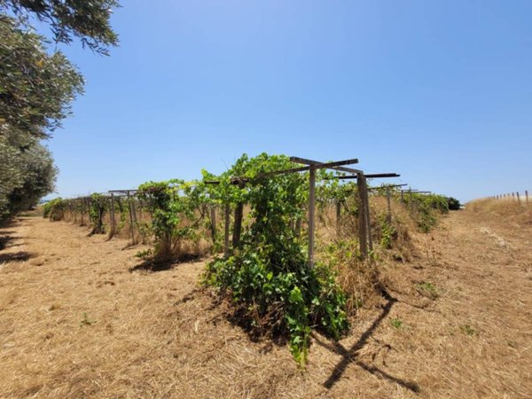 terreno agricolo in vendita a Latina in zona Acciarella
