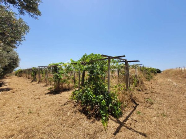 terreno agricolo in vendita a Latina in zona Acciarella
