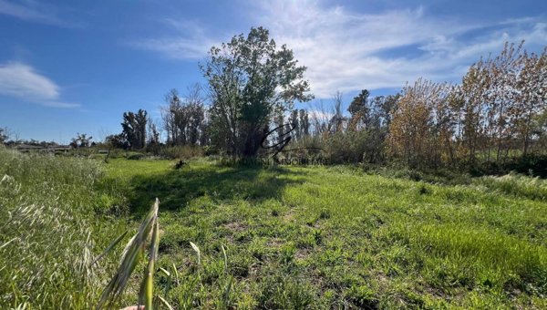 terreno agricolo in vendita a Latina in zona Borgo Sabotino