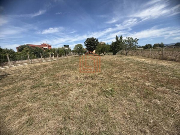 terreno agricolo in vendita a Latina in zona Borgo Isonzo