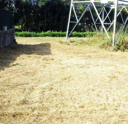 terreno agricolo in vendita a Latina in zona Borgo Sabotino