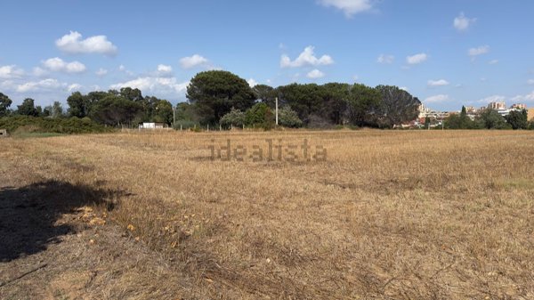 terreno agricolo in vendita a Latina