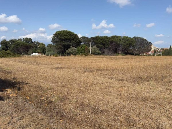 terreno agricolo in vendita a Latina