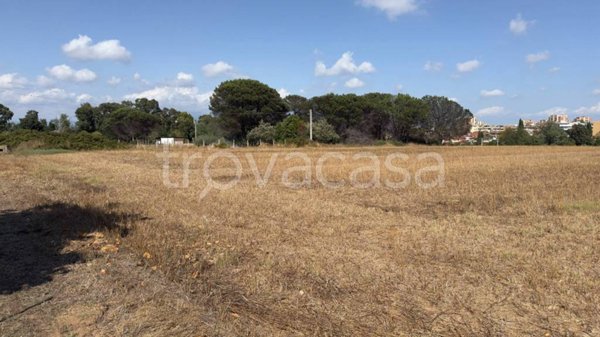 terreno agricolo in vendita a Latina