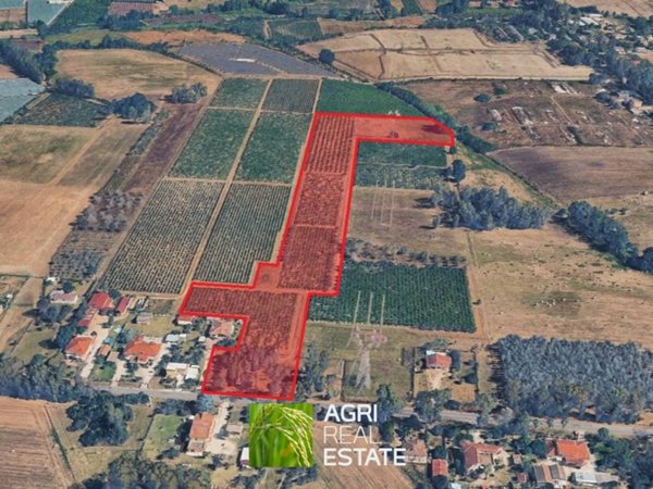 terreno agricolo in vendita a Latina in zona Acciarella