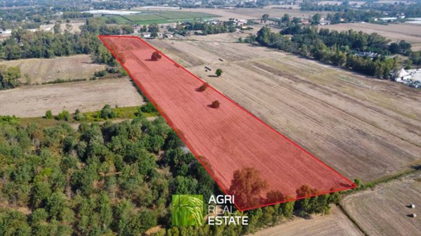 azienda agricola in vendita a Latina