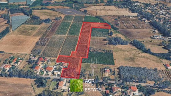 azienda agricola in vendita a Latina