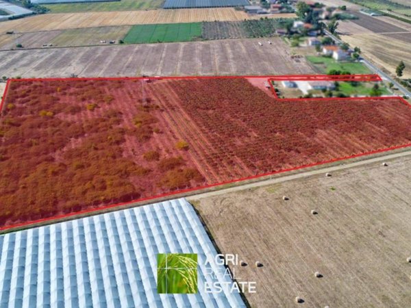 terreno agricolo in vendita a Latina