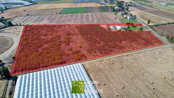 azienda agricola in vendita a Latina in zona Chiesuola