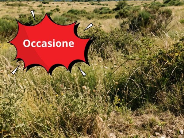 terreno in vendita a Latina in zona Casal delle Palme