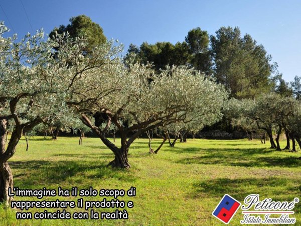 terreno agricolo in vendita a Lenola in zona Valle Bernardo