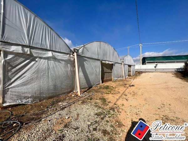 terreno agricolo in vendita a Lenola
