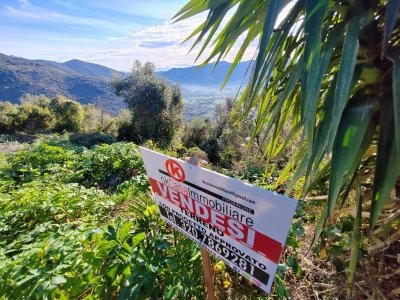 terreno agricolo in vendita a Maenza