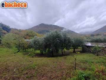 terreno agricolo in vendita a Maenza