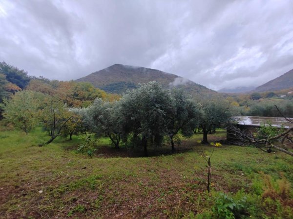 terreno agricolo in vendita a Maenza