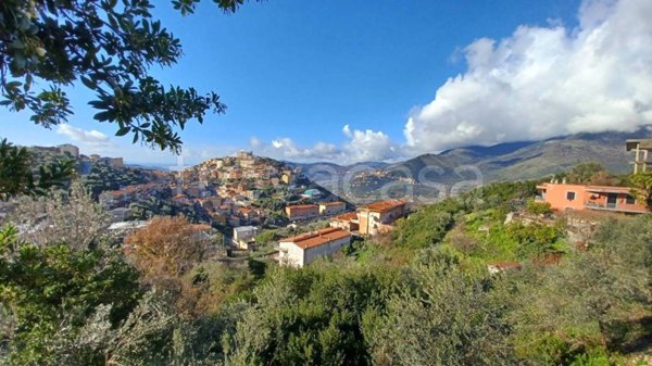 terreno agricolo in vendita a Maenza