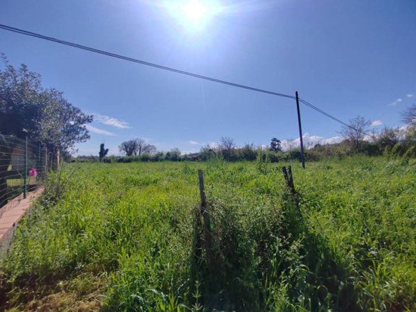 terreno agricolo in vendita a Maenza