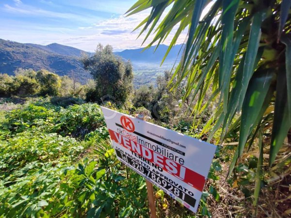 terreno agricolo in vendita a Maenza