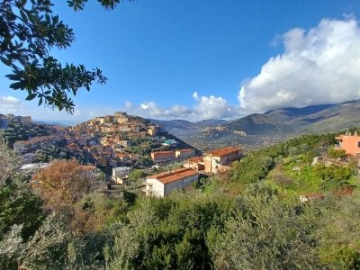 terreno agricolo in vendita a Maenza