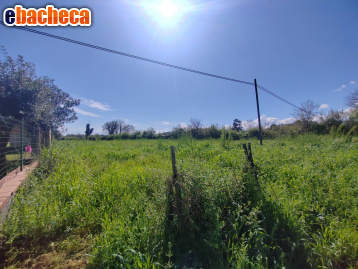 terreno agricolo in vendita a Maenza