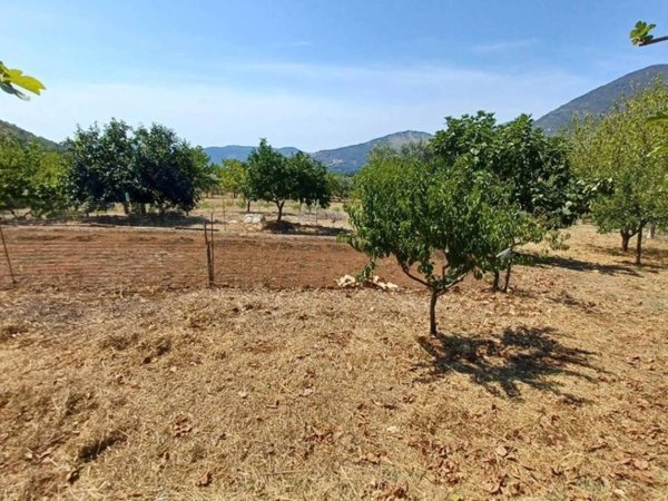 terreno agricolo in vendita a Maenza