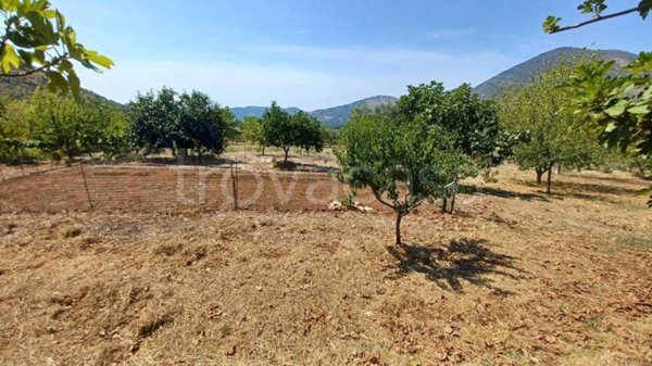 terreno agricolo in vendita a Maenza