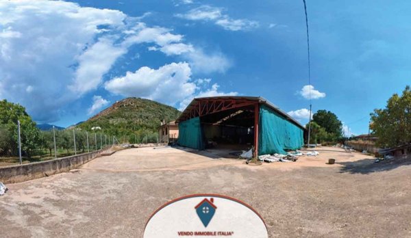 terreno agricolo in vendita a Maenza