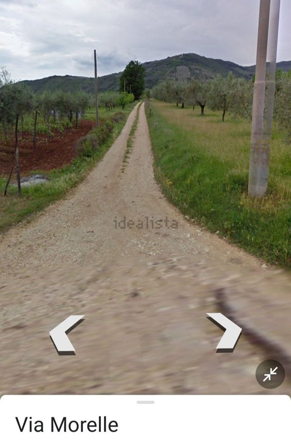 terreno agricolo in vendita a Maenza