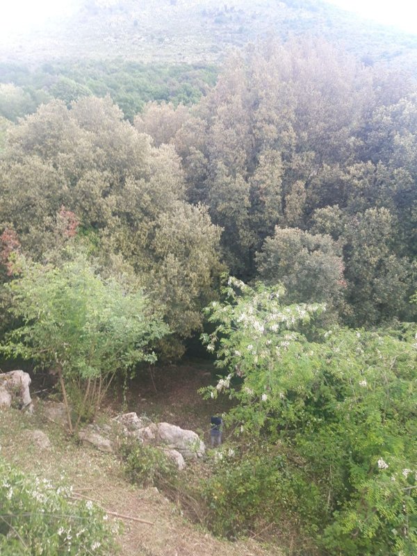 casa indipendente in vendita a Maenza