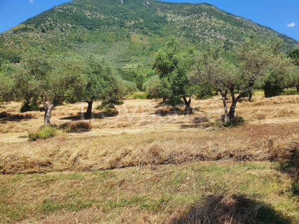 terreno agricolo in vendita a Maenza