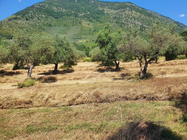 terreno in vendita a Maenza