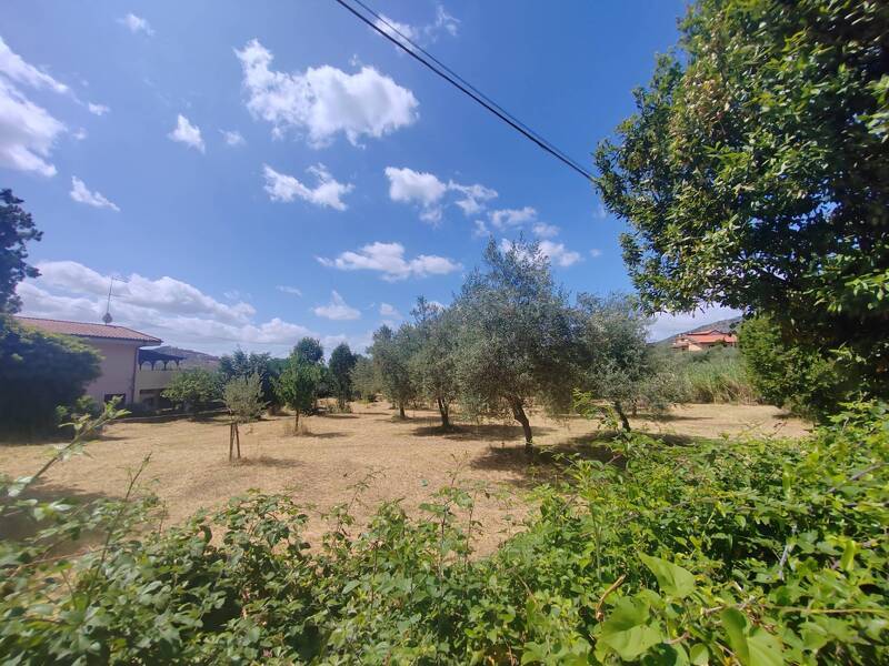terreno edificabile in vendita a Maenza in zona Monte Acuto