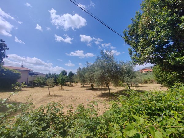 terreno edificabile in vendita a Maenza in zona Monte Acuto